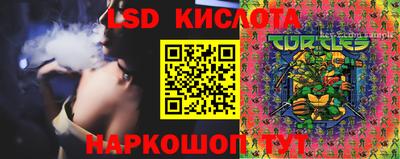 спиды Обь