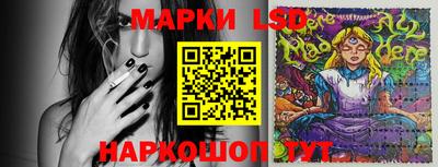 спиды Обь