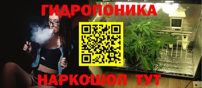 спиды Обь