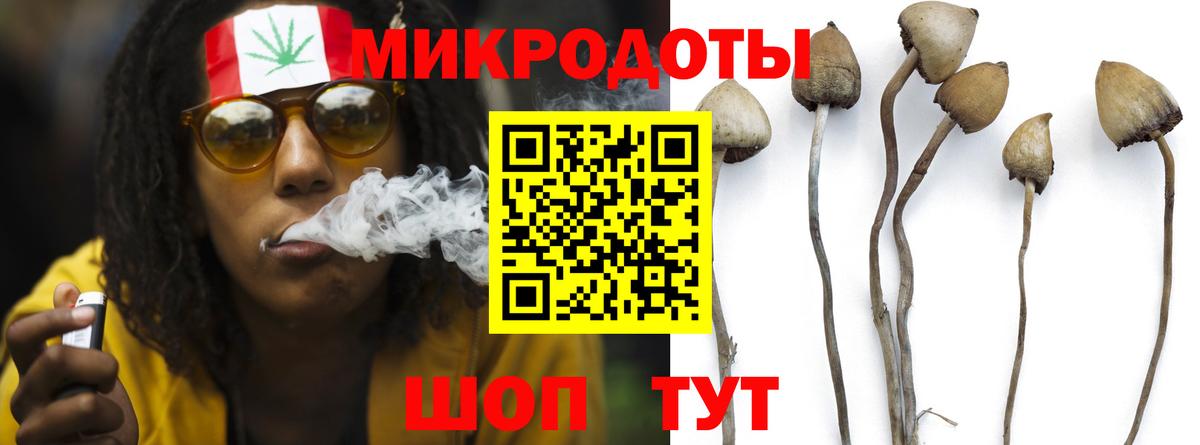 Псилоцибиновые грибы GOLDEN TEACHER  Вход с VPN  Серов 